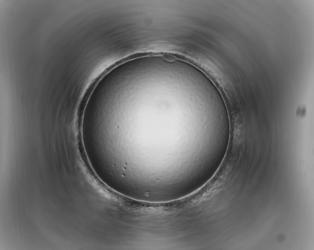 X0000097640990200803071549