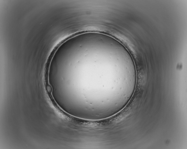 X0000097640991200803071549