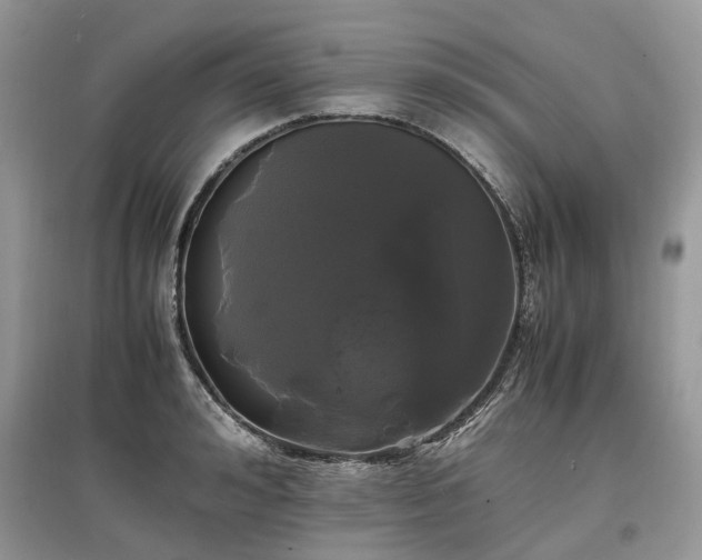 X0000097640992200803071549