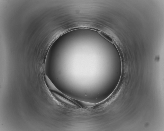 X0000097640993200803071549