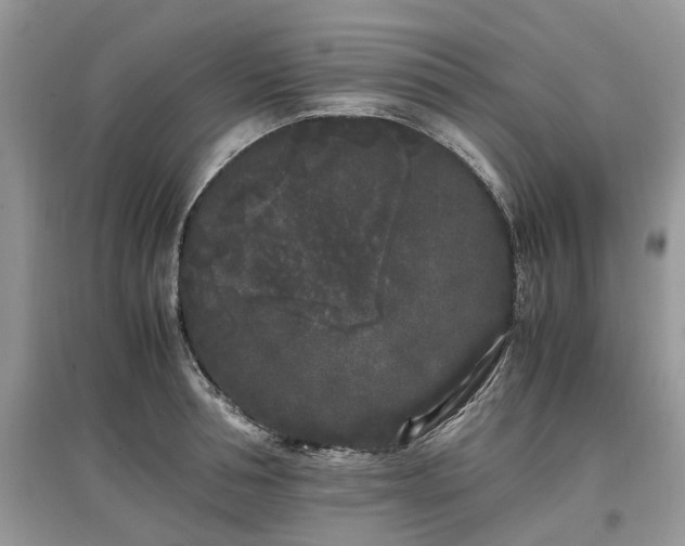 X0000097640994200803071549