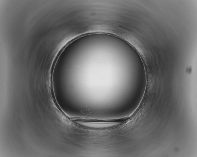 X0000097640996200803071549