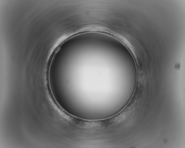 X0000097640997200803071549