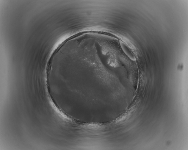 X0000097640998200803071549