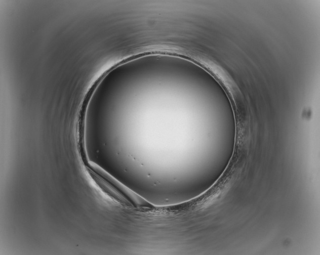 X0000097640999200803071549