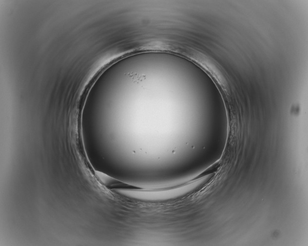 X0000097641000200803071549