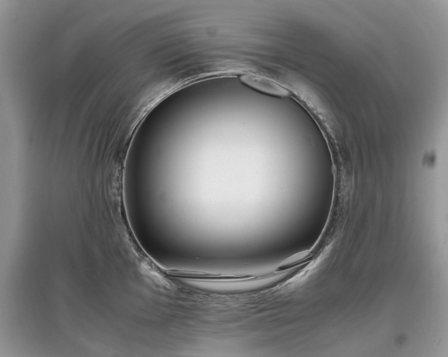 X0000097641001200803071549