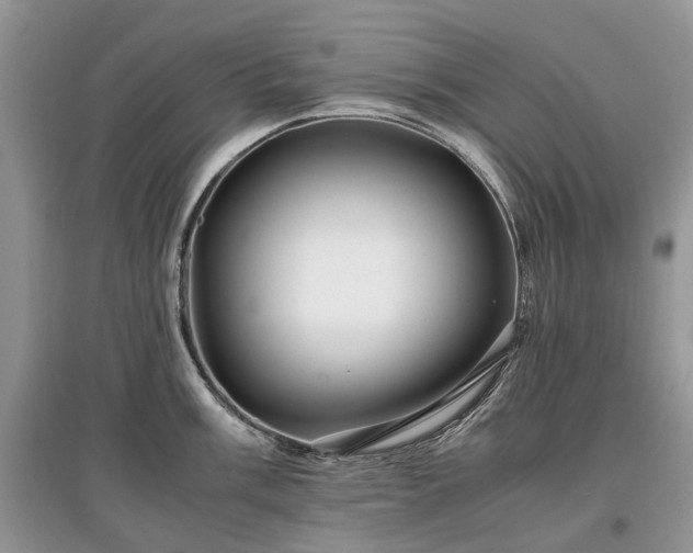 X0000097641003200803071549