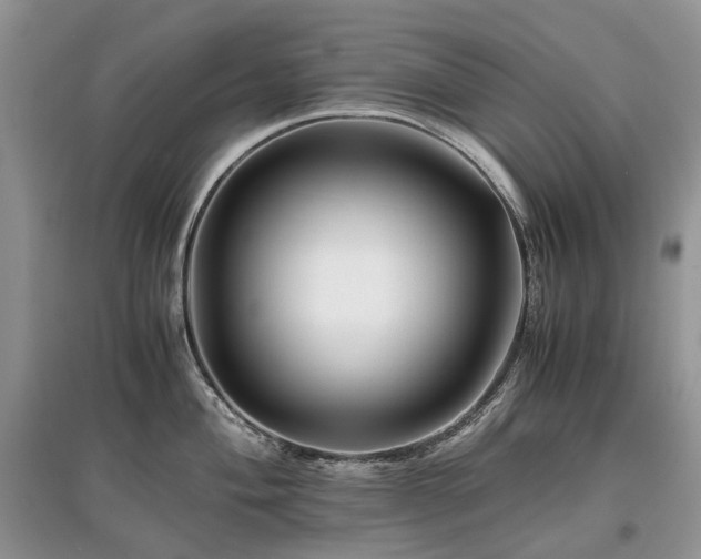 X0000097641004200803071549