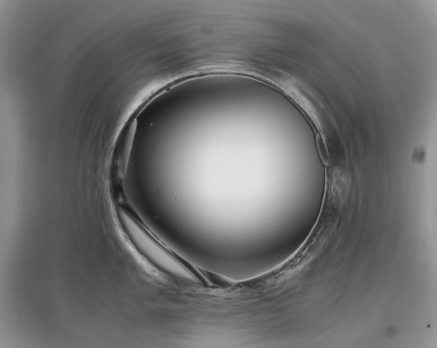 X0000097641005200803071549