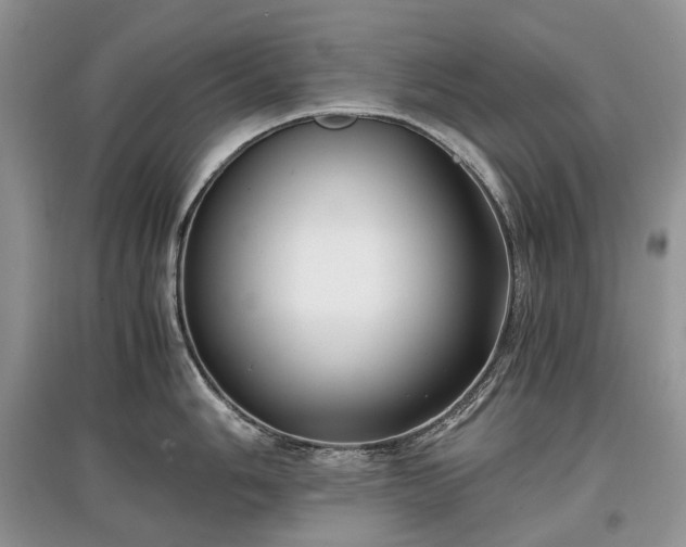 X0000097641006200803071549