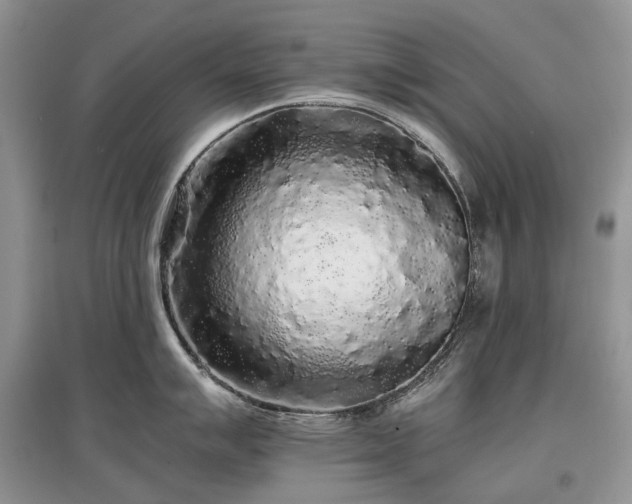 X0000097641007200803071549