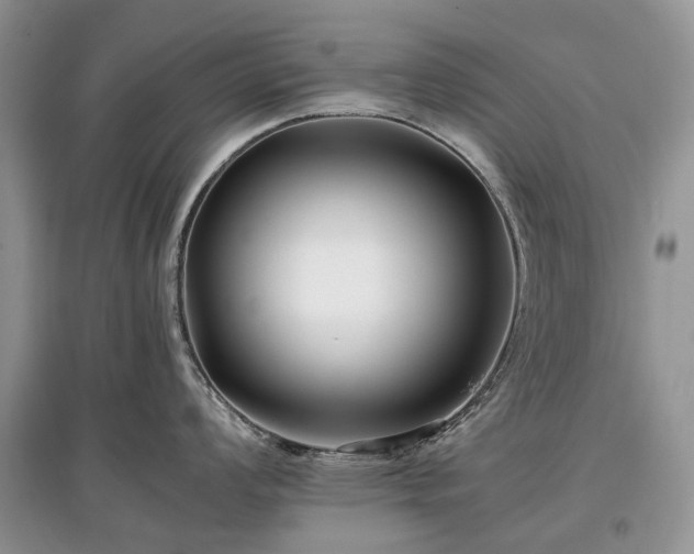 X0000097641008200803071549