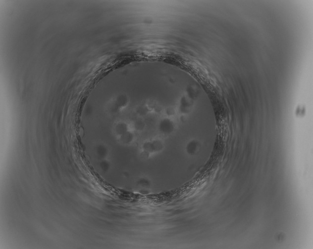 X0000097641009200803071548