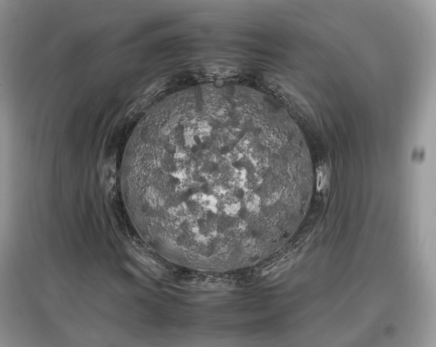 X0000097641011200803071548