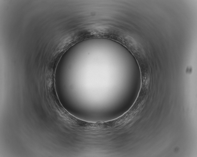 X0000097641012200803071548