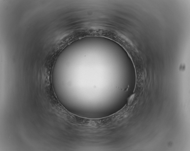 X0000097641013200803071548