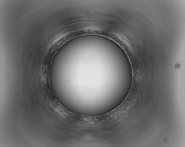 X0000097641015200803071548