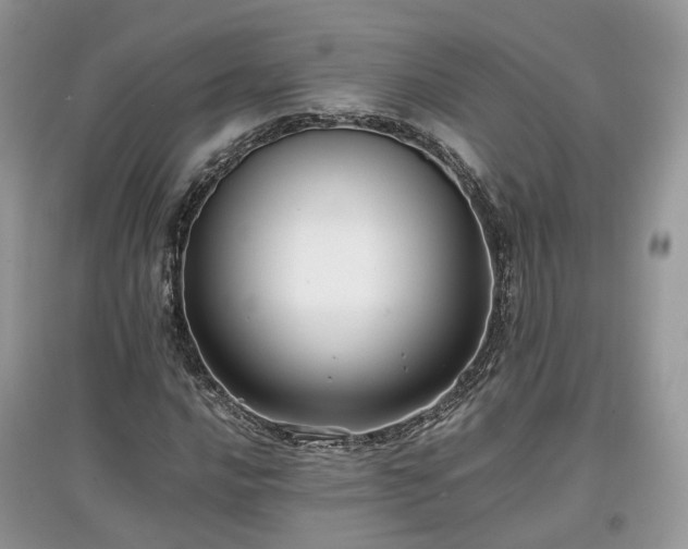 X0000097641016200803071548