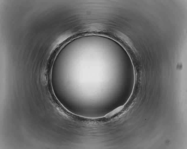 X0000097641018200803071548