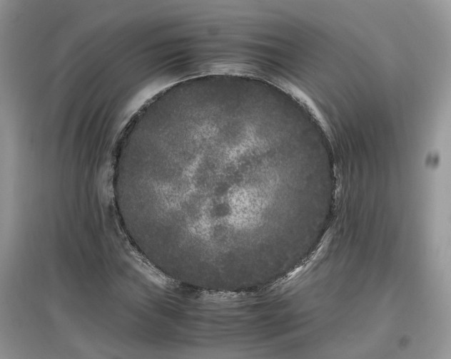 X0000097641019200803071548