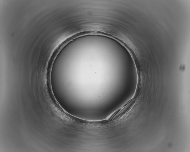 X0000097641020200803071548