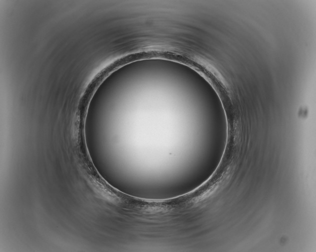 X0000097641021200803071548