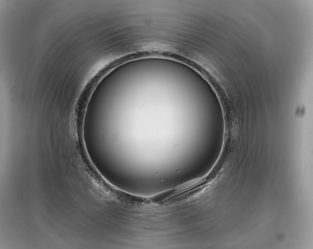 X0000097641022200803071548