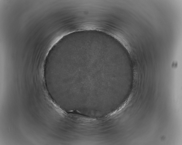 X0000097641023200803071548