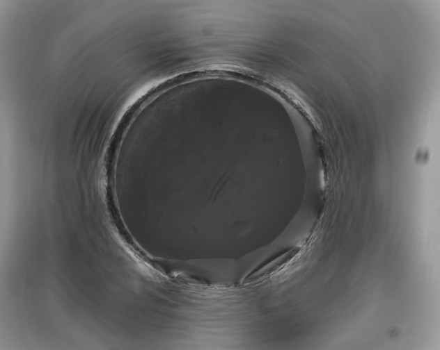 X0000097641024200803071548