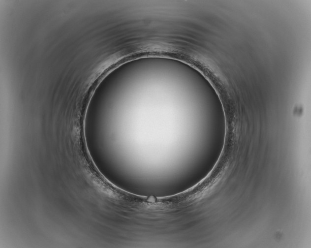 X0000097641025200803071548