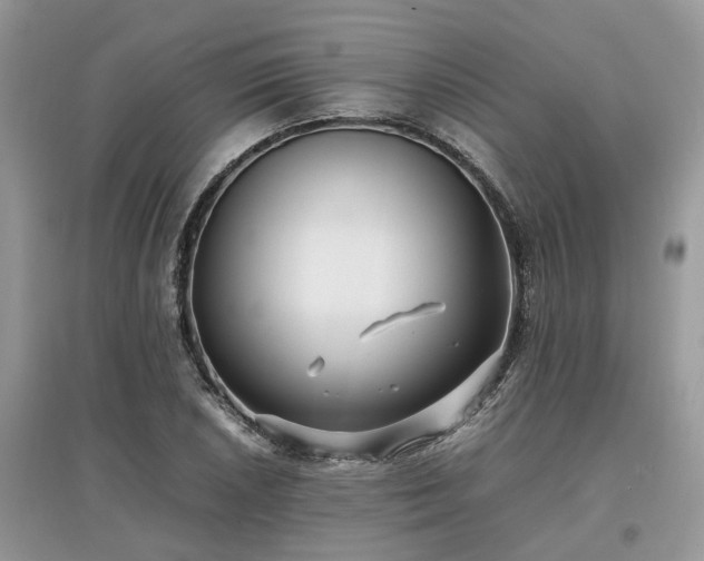 X0000097641026200803071548