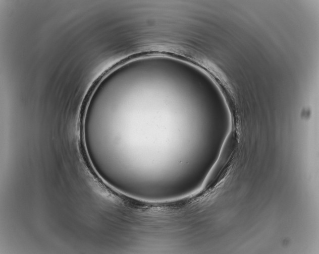 X0000097641028200803071548