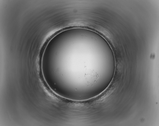 X0000097641030200803071548