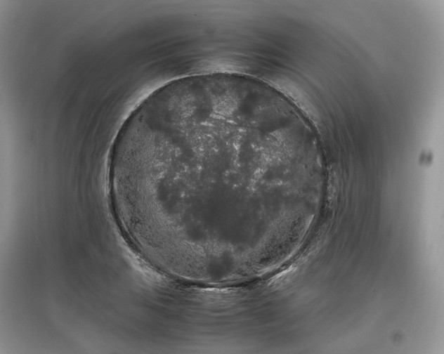 X0000097641031200803071548