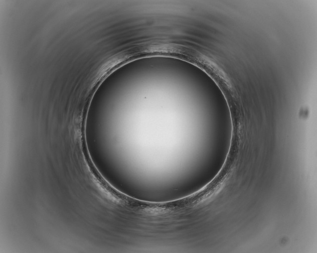 X0000097641033200803071548