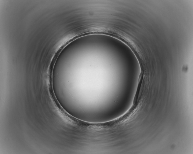 X0000097641034200803071548