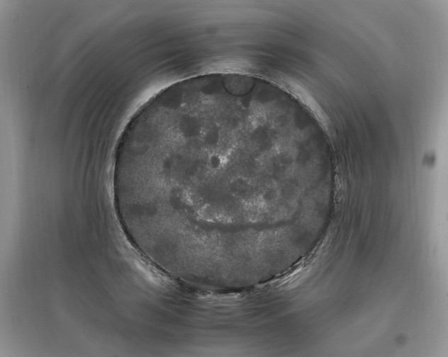 X0000097641035200803071548