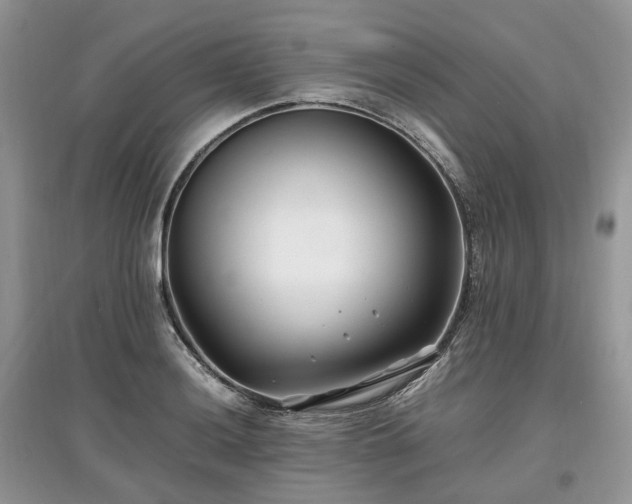 X0000097641036200803071548