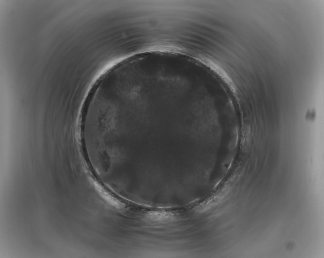 X0000097641037200803071548