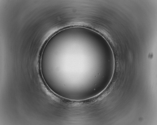 X0000097641038200803071548