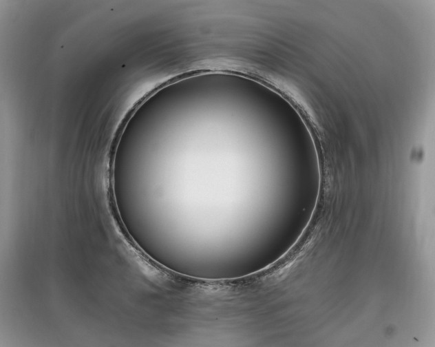 X0000097641040200803071548