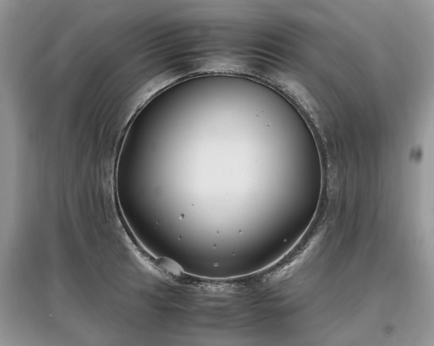 X0000097641041200803071548