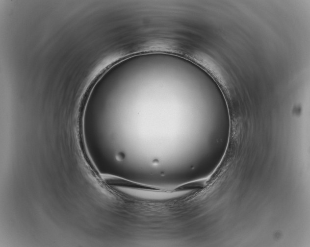 X0000097641043200803071548