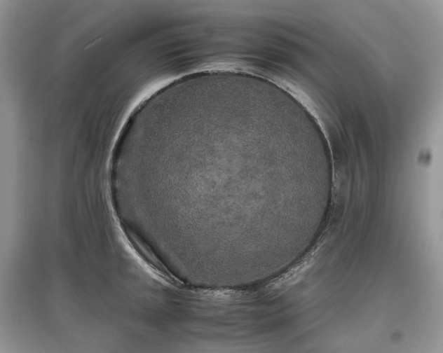 X0000097641045200803071548