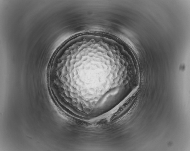 X0000097641047200803071548