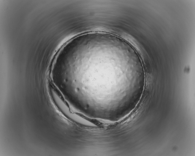 X0000097641048200803071548