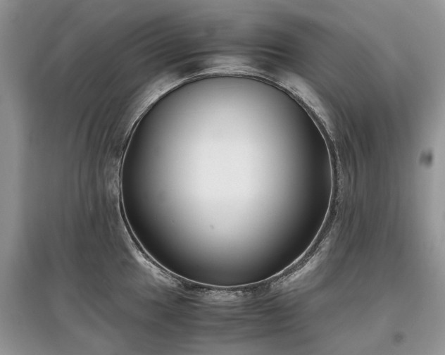 X0000097641049200803071549