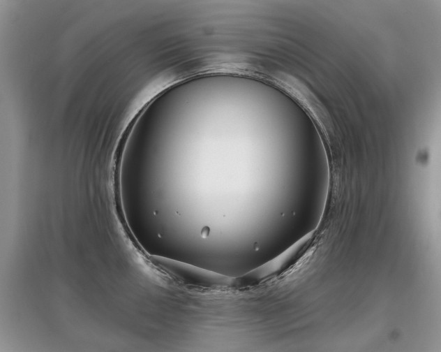 X0000097641050200803071549