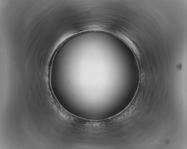 X0000097641051200803071549